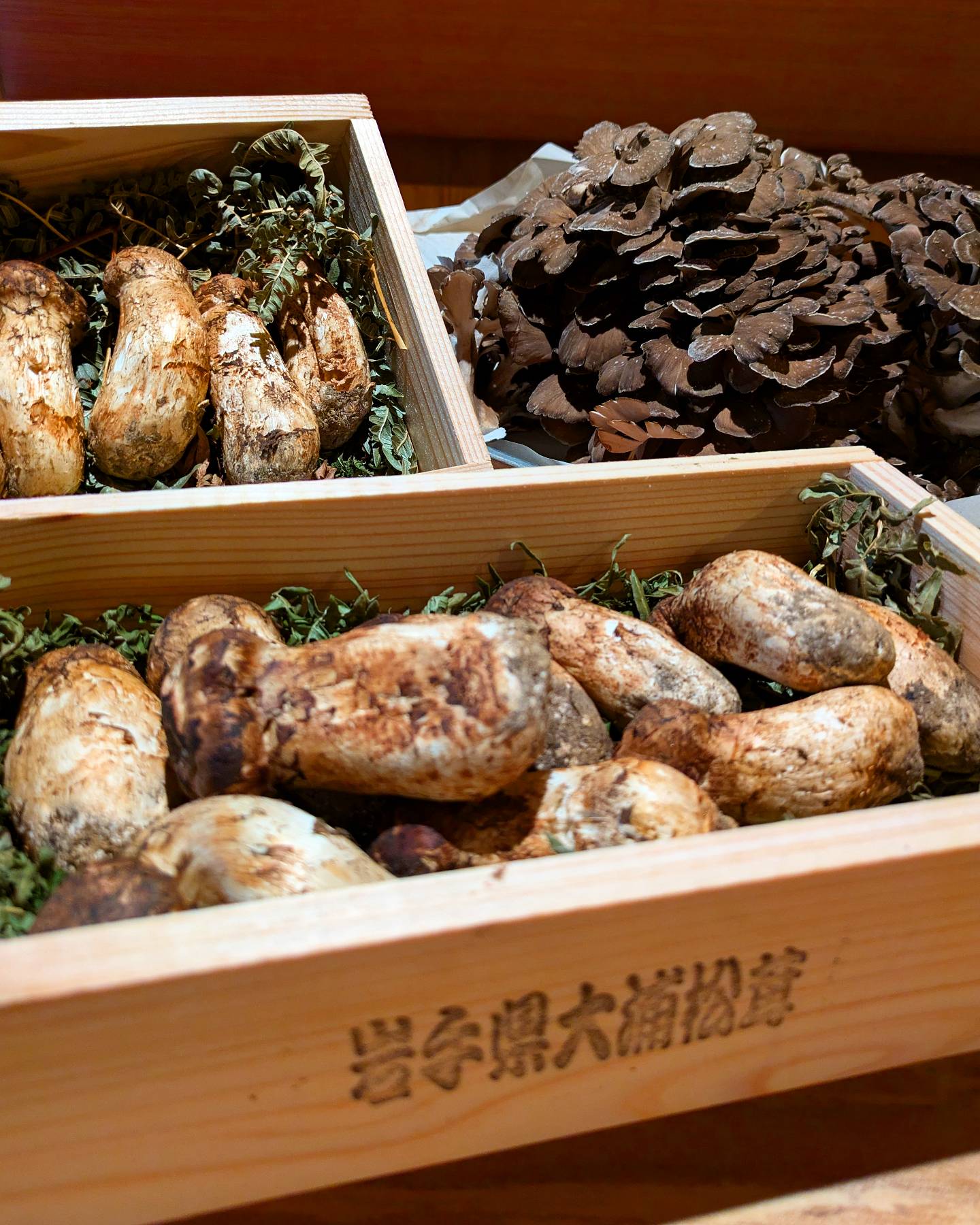 秋の味覚

岩手県　松茸　
山形県　原木舞茸

香りが違います！

ぜひお楽しみください＼(^o^)／

#渋谷グルメ　#グルメ好きな人と繋がりたい　#渋谷　#和食　#美味しいご飯　#和食ごはん　#和食グルメ 　#和食食べたい　#季節料理　　#子どもと外食　#渋谷和食　#久原 　# 日本酒　#鴨料理　#鴨葱　#天ぷら　#渋谷和食　#渋谷の和食　#渋谷和食店　　#恵比寿和食　#隠れ家　#渋谷で和食　#和食ディナー　#日本料理　#ミシュラン　#ミシュランガイド東京　#ミシュランガイド東京2024　#ビブグルマン　＃松茸　＃舞茸　＃松茸の土瓶蒸し　＃舞茸の天ぷら